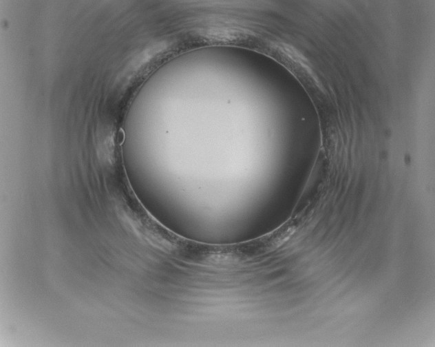 X0000060750596200511241705