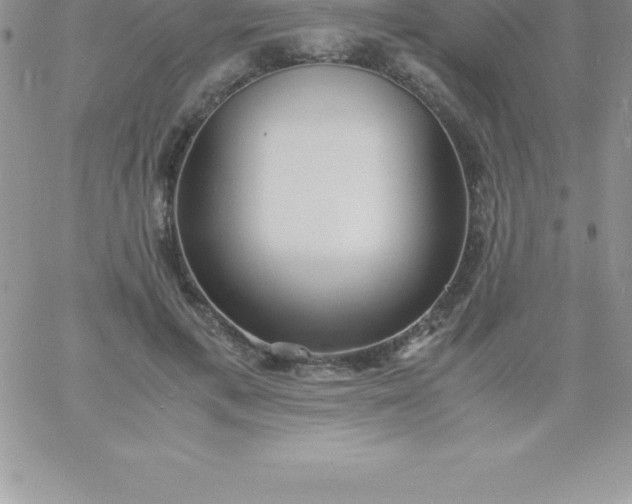 X0000060750597200511241705