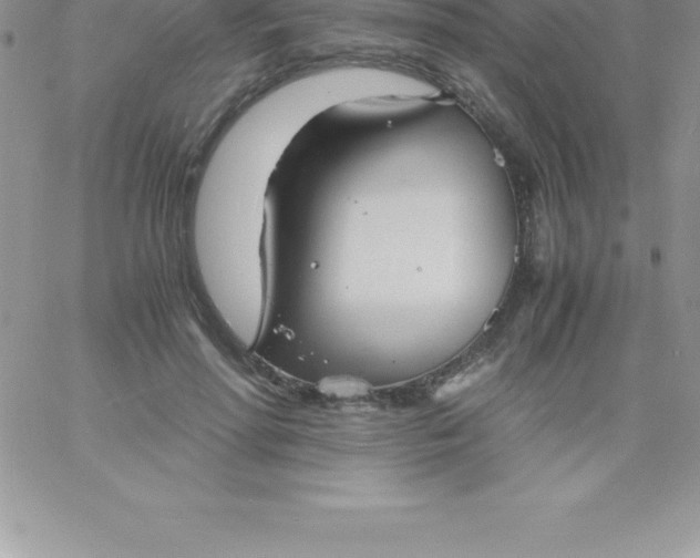 X0000060750598200511241705