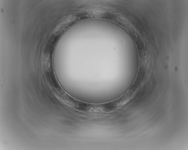 X0000060750599200511241705