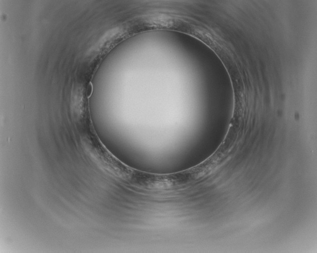 X0000060750600200511241705