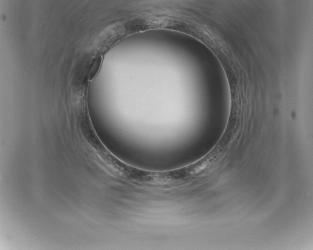 X0000060750601200511241705