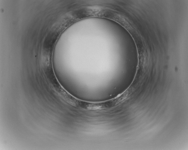 X0000060750602200511241705