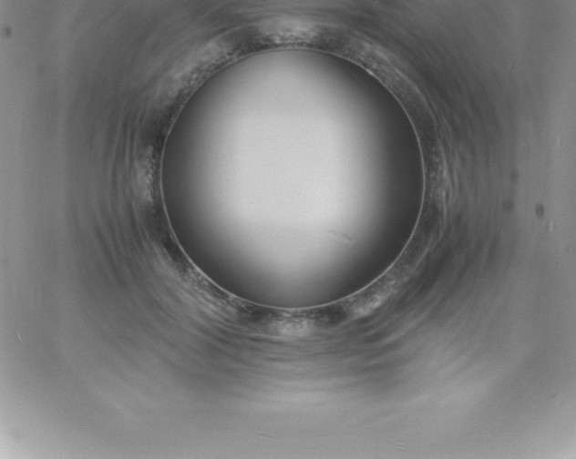 X0000060750604200511241705