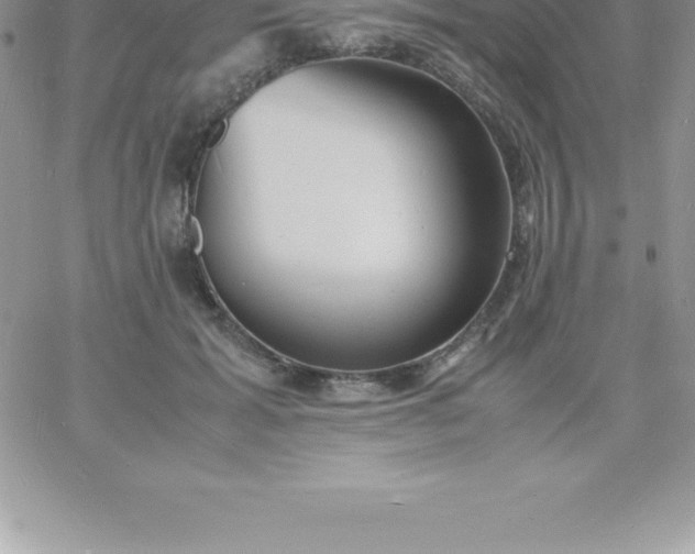 X0000060750605200511241705