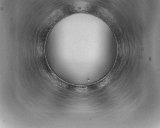 X0000060750606200511241705