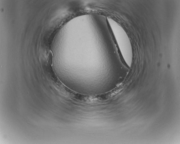 X0000060750607200511241705