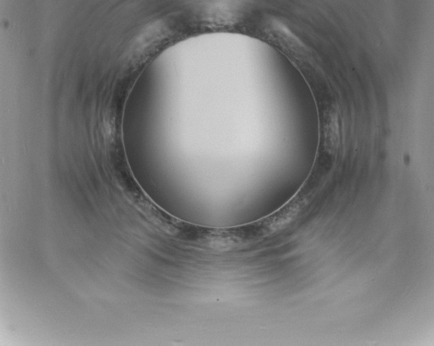 X0000060750608200511241705