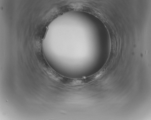 X0000060750609200511241705