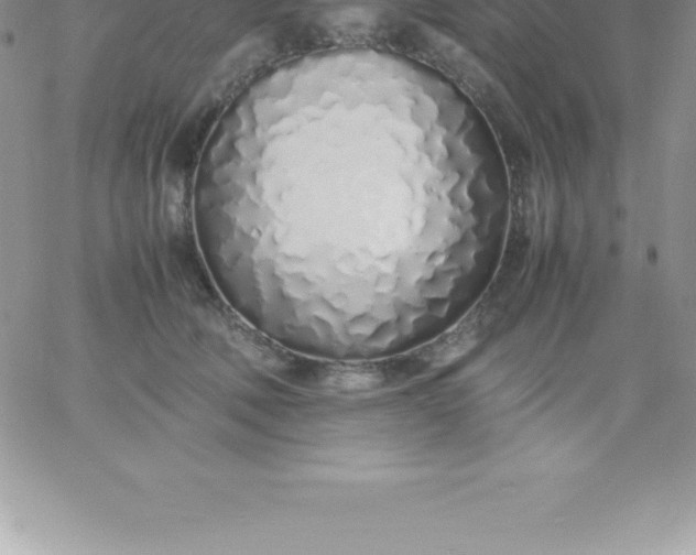 X0000060750610200511241705