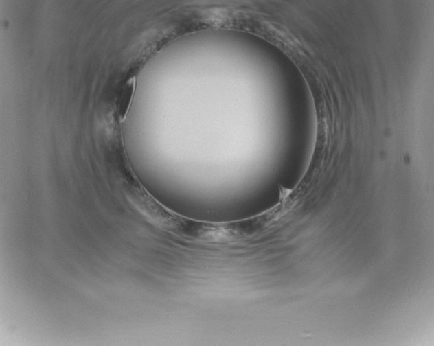 X0000060750611200511241705