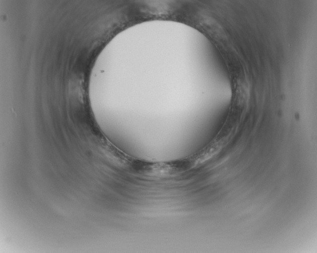 X0000060750612200511241705