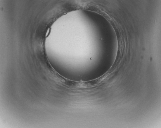 X0000060750613200511241705