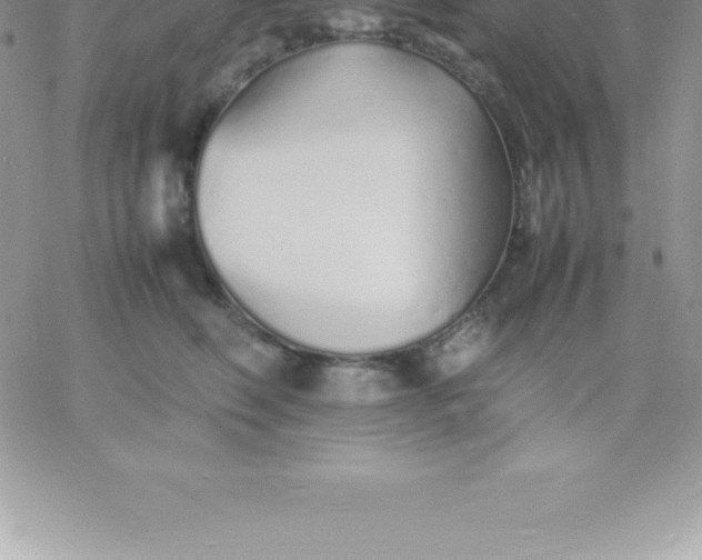 X0000060750614200511241705