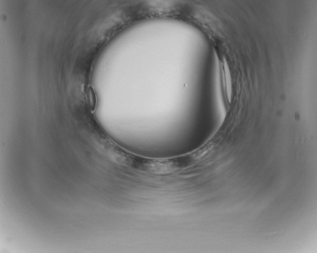 X0000060750615200511241705