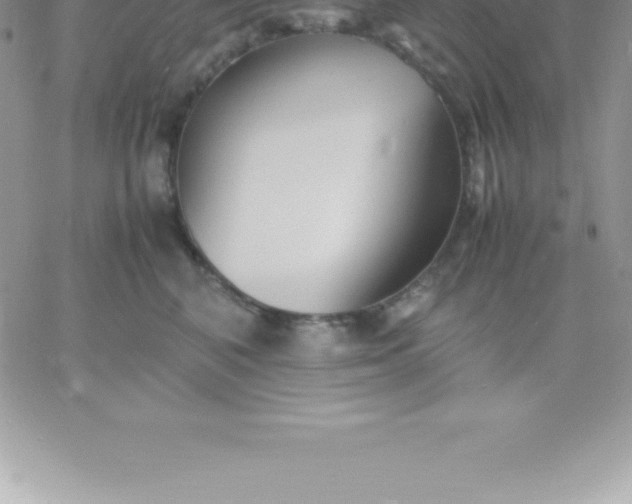 X0000060750616200511241705