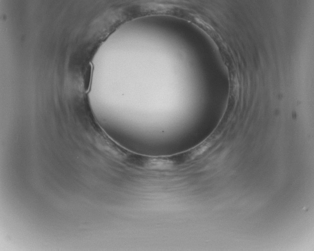 X0000060750617200511241705