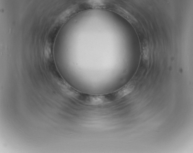 X0000060750618200511241705