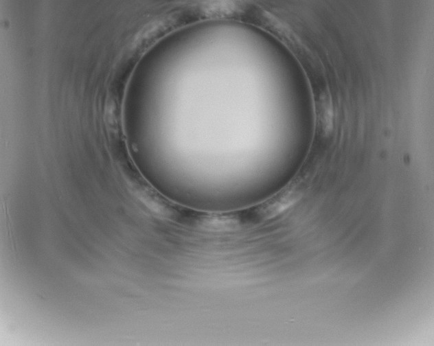 X0000060750619200511241705