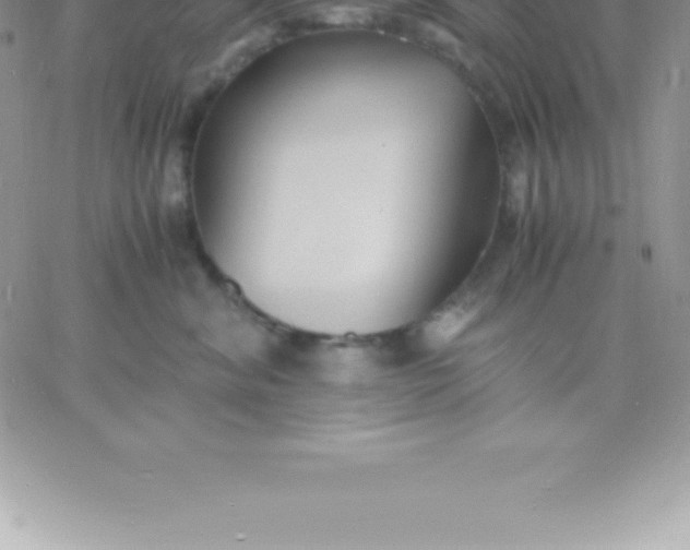 X0000060750620200511241705