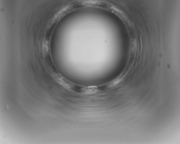 X0000060750621200511241705