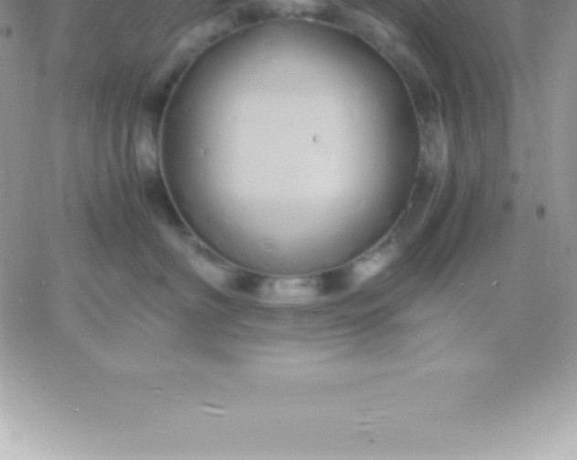 X0000060750622200511241705