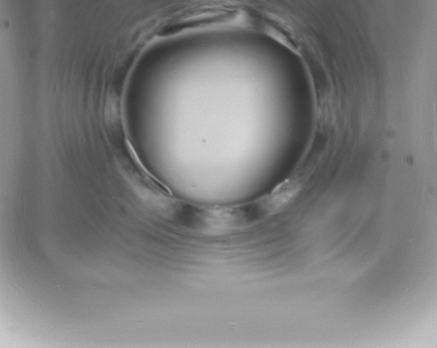 X0000060750623200511241704