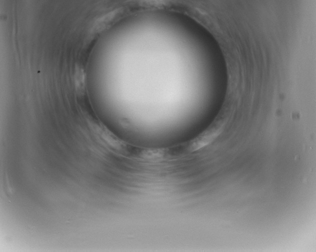 X0000060750624200511241704