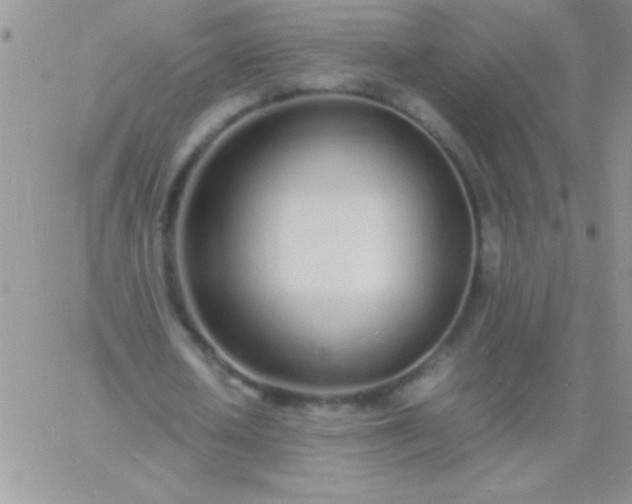 X0000060750626200511241704