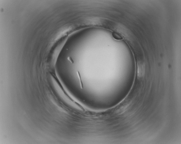 X0000060750627200511241704