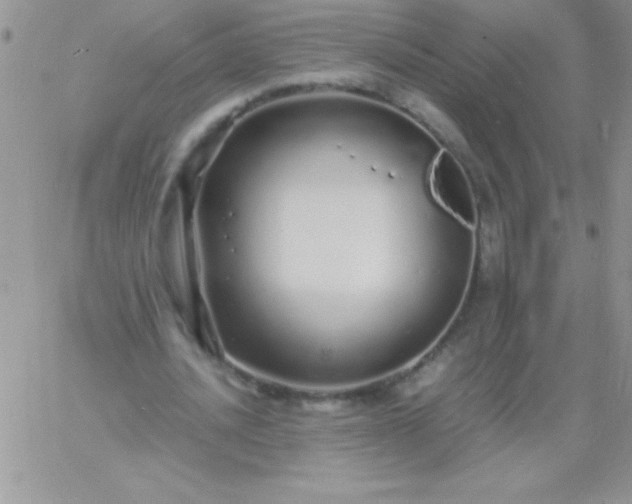 X0000060750628200511241704