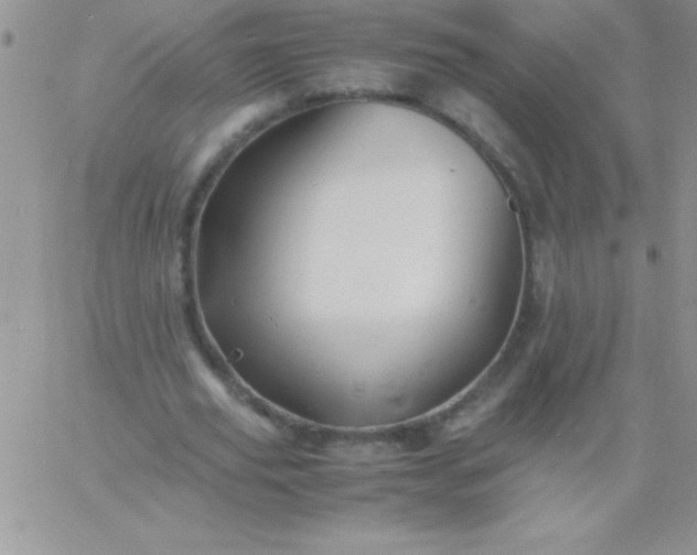 X0000060750629200511241704