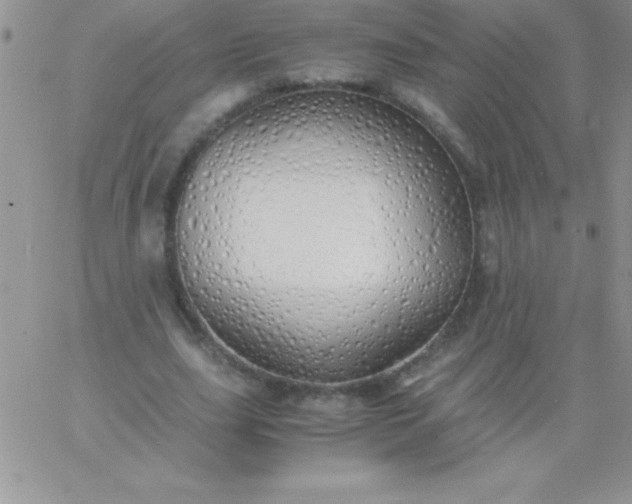 X0000060750631200511241704