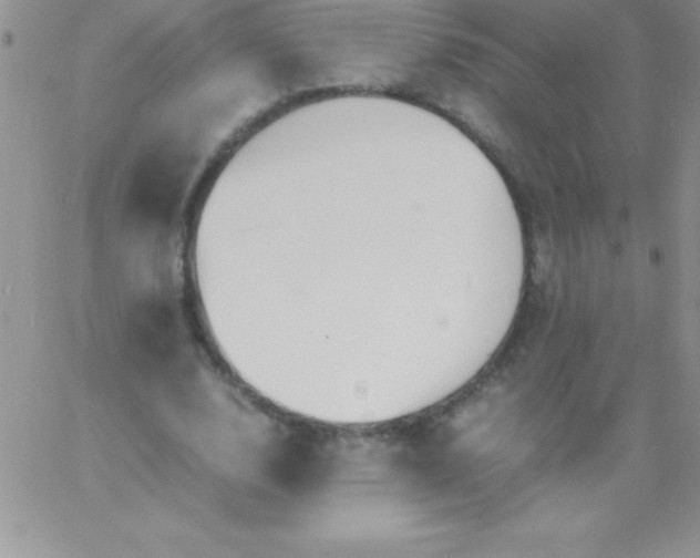 X0000060750632200511241704