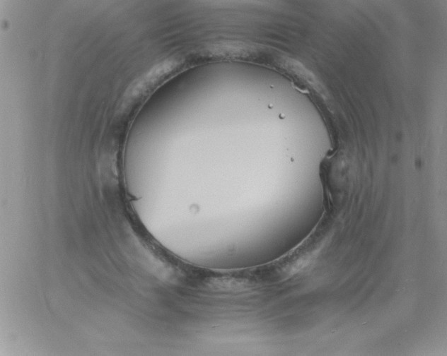 X0000060750633200511241704