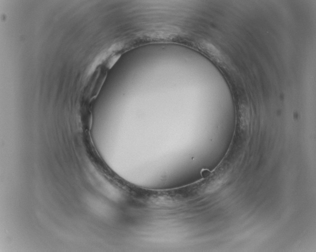 X0000060750634200511241704