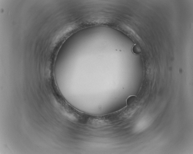 X0000060750635200511241704