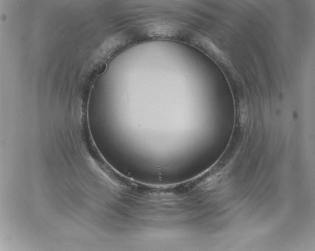 X0000060750637200511241704