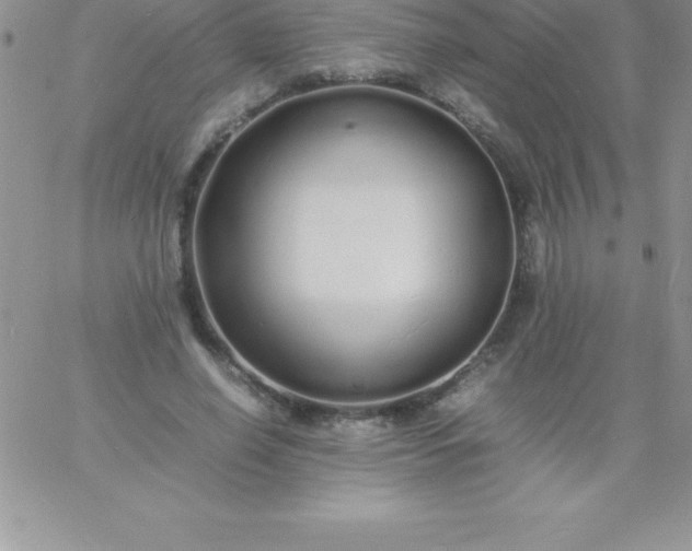 X0000060750638200511241704