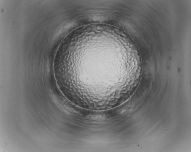 X0000060750639200511241704