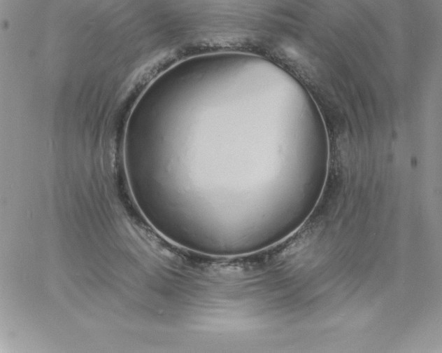 X0000060750640200511241704