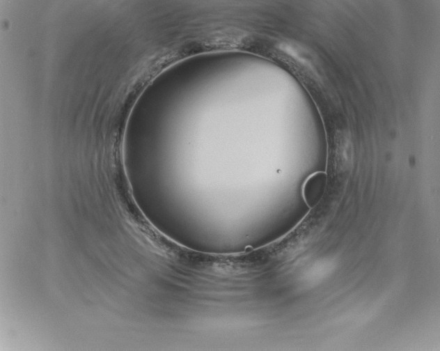 X0000060750641200511241704