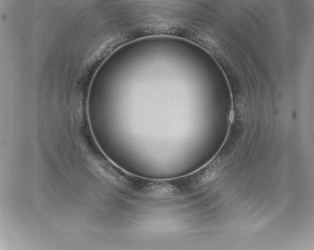 X0000060750642200511241704