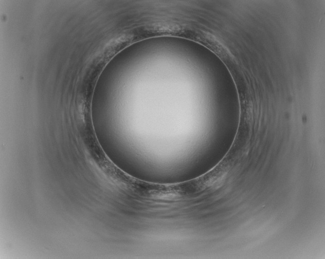 X0000060750643200511241704