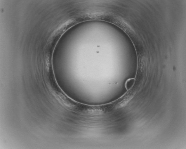 X0000060750644200511241704