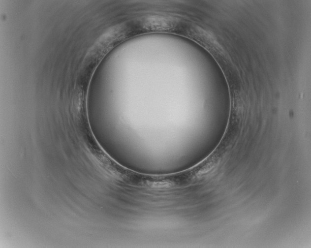 X0000060750645200511241704