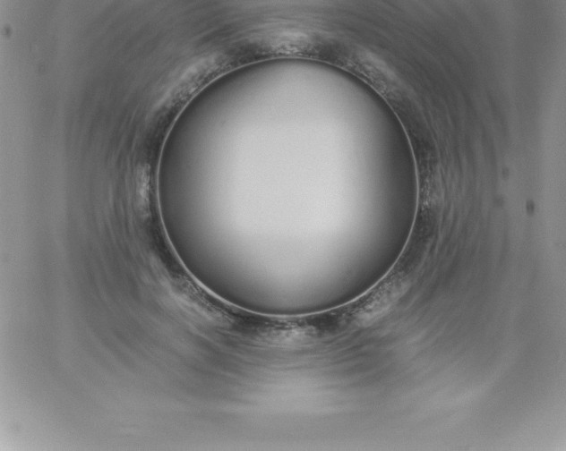 X0000060750646200511241704