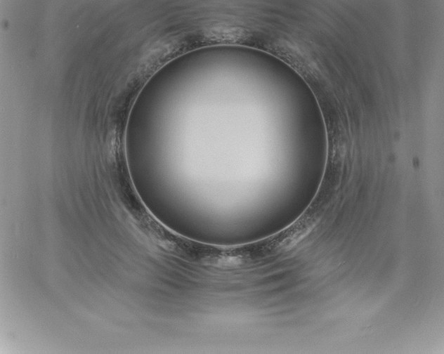 X0000060750647200511241704