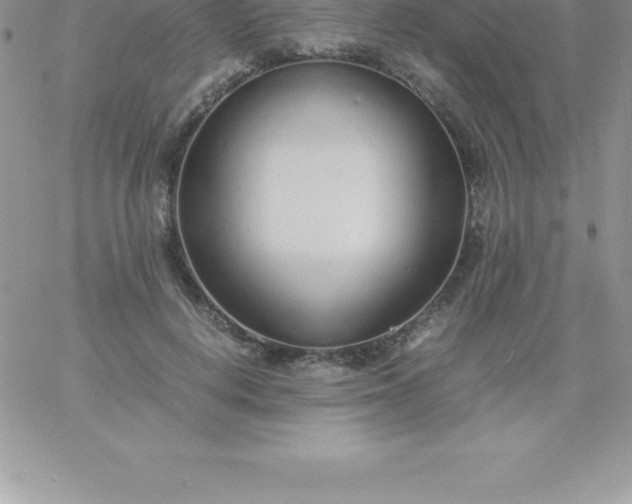 X0000060750648200511241704