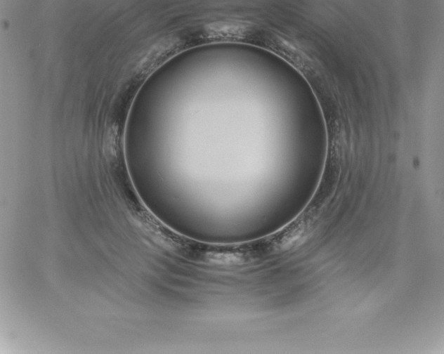 X0000060750649200511241704